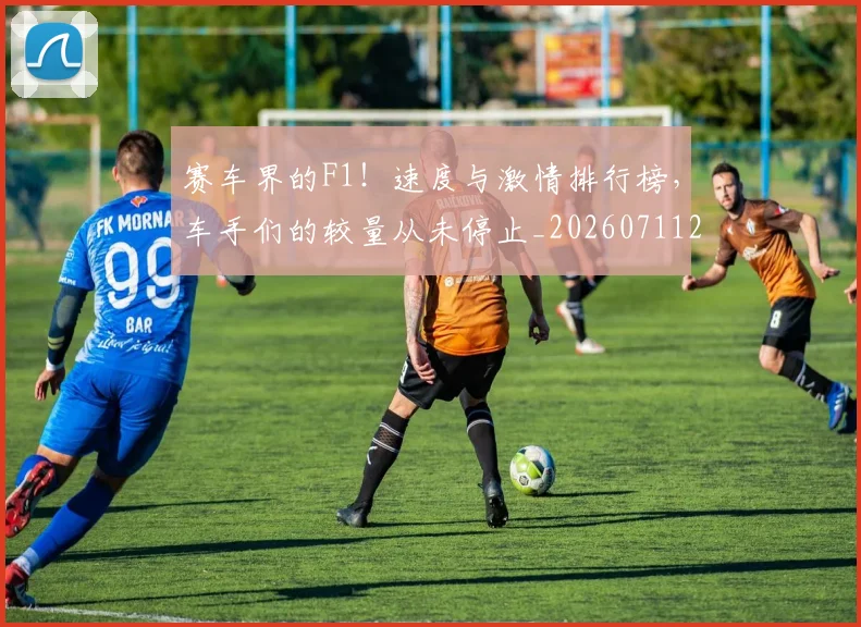 赛车界的F1!速度与激情排行榜,车手们的较量从未停止_20260711202255