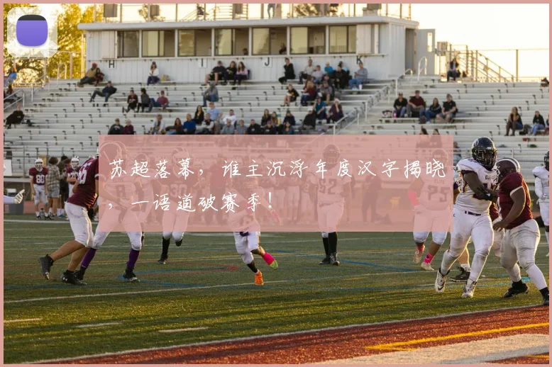 苏超落幕,谁主沉浮年度汉字揭晓,一语道破赛季!